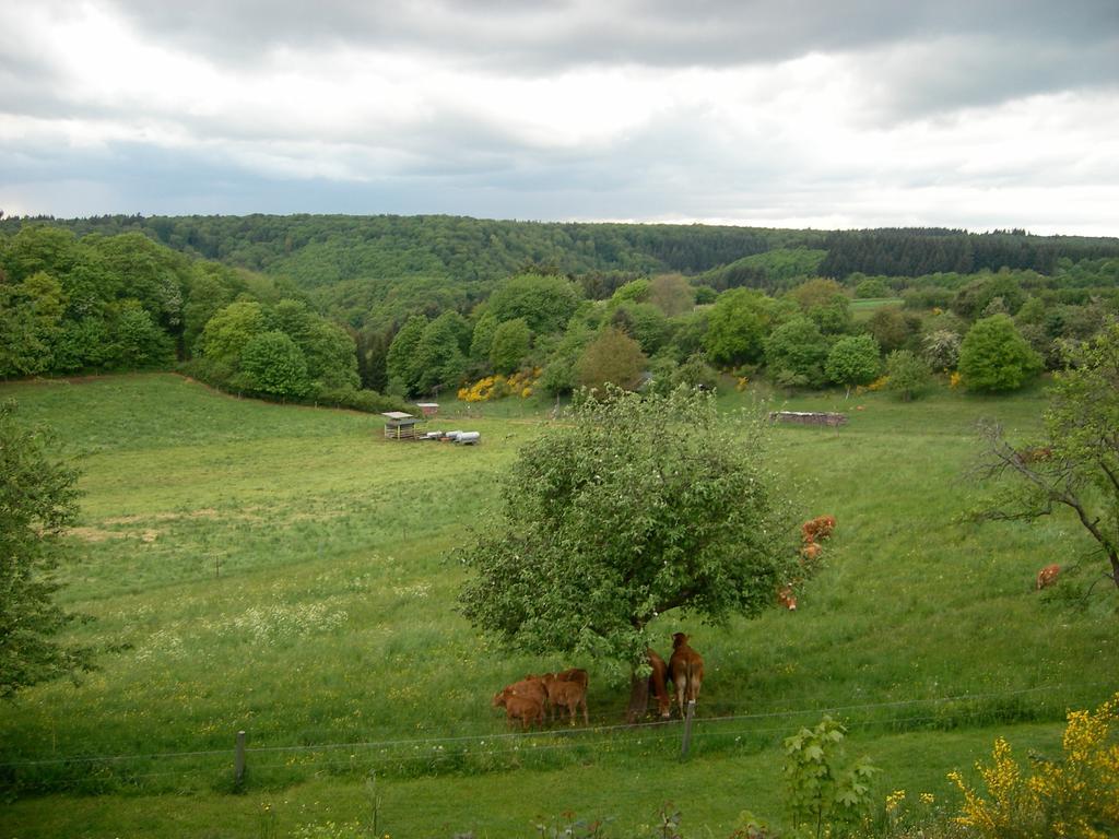 Landhaus Bad Bertrich Esterno foto