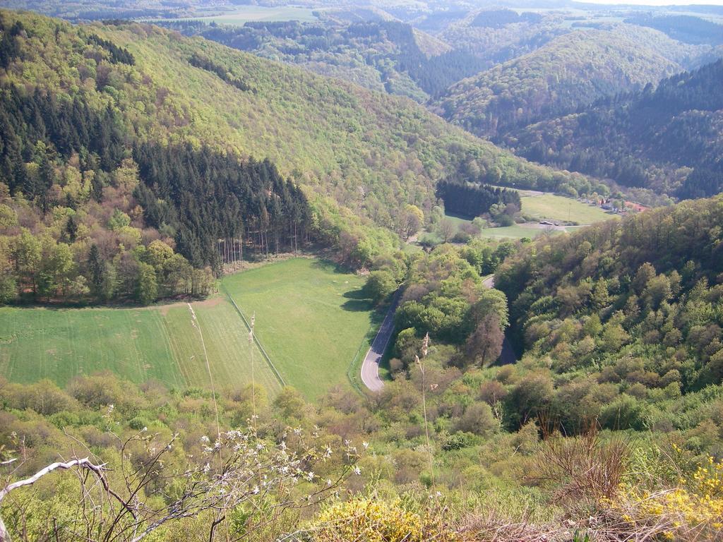 Landhaus Bad Bertrich Esterno foto