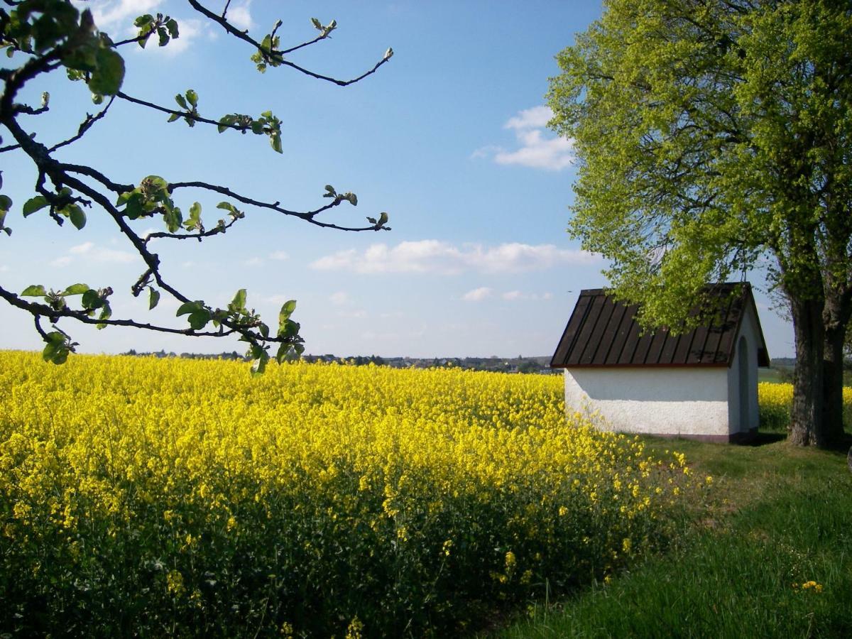 Landhaus Bad Bertrich Esterno foto
