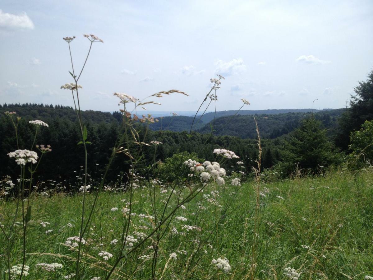 Landhaus Bad Bertrich Esterno foto